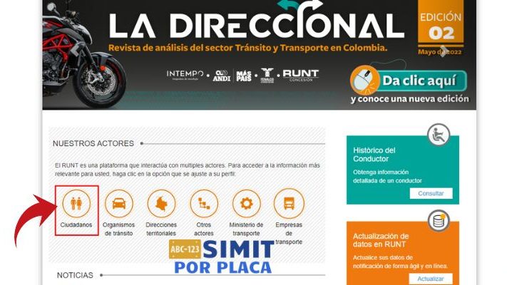 consultar mi licencia de conducir